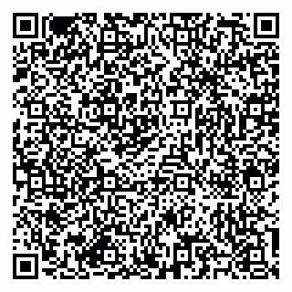 vCard 79585713301