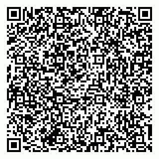vCard 79585713303