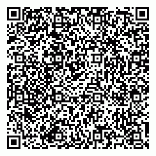 vCard 79585713304
