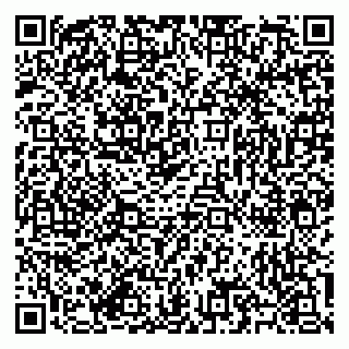 vCard 79585713309