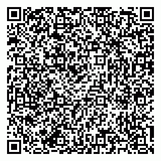 vCard 79585713310