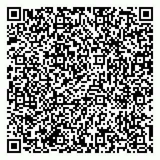 vCard 79585713313