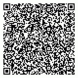 vCard 79585713325