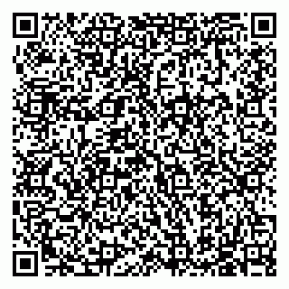 vCard 79585713329