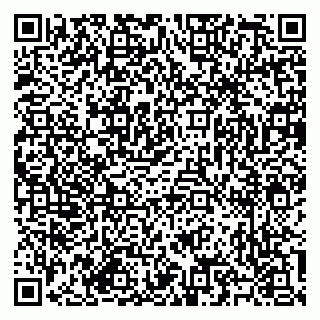 vCard 79585713331