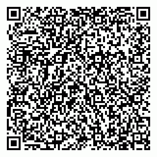 vCard 79585713333