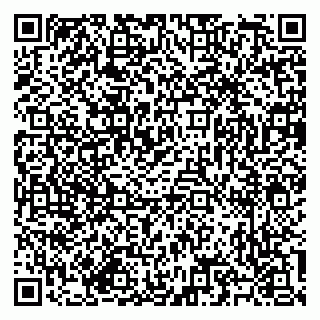 vCard 79585713334