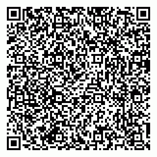 vCard 79585713335