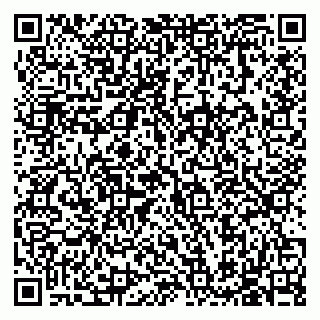 vCard 79585713338