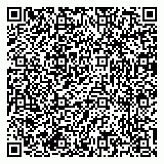 vCard 79585713339