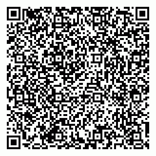 vCard 79585713340
