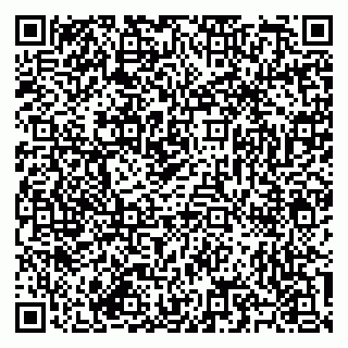 vCard 79585713341