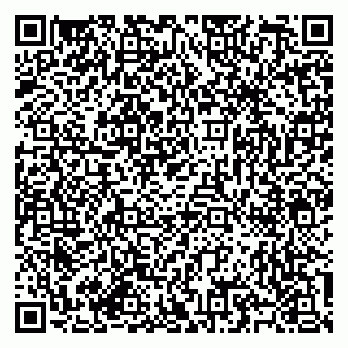 vCard 79585713345