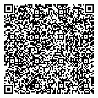 vCard 79585713351