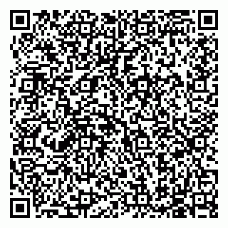 vCard 79585713353