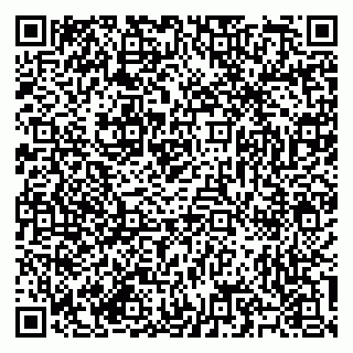 vCard 79585713358