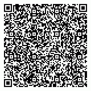 vCard 79585713377