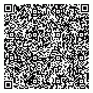 vCard 79585713378
