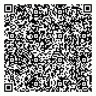 vCard 79585713379