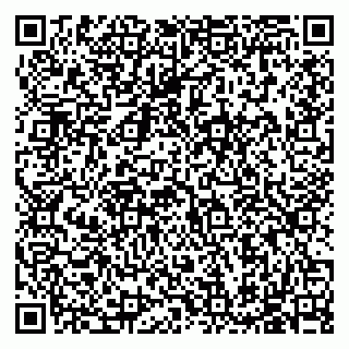 vCard 79585713380