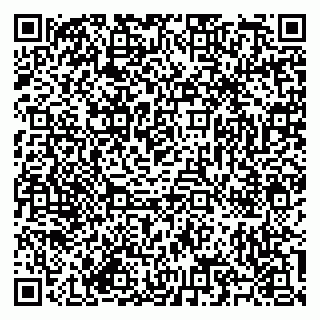 vCard 79585713381