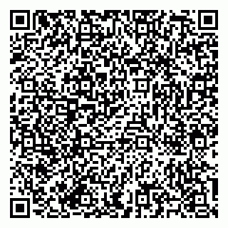 vCard 79585713383