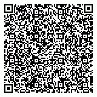 vCard 79585713384