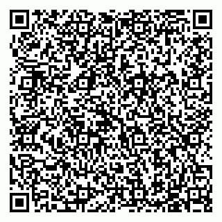 vCard 79585713385