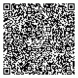 vCard 79585713387