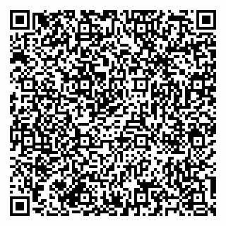 vCard 79585713388