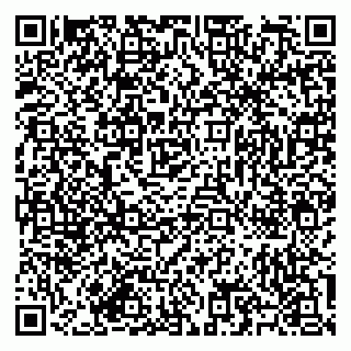 vCard 79585713389