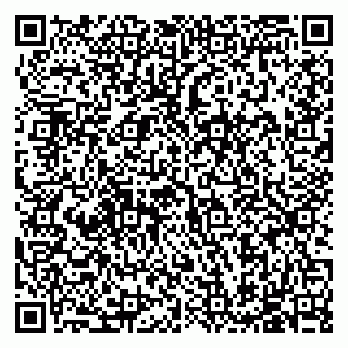vCard 79585713393