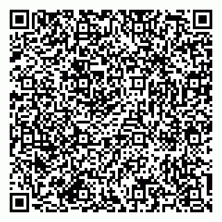 vCard 79585713397
