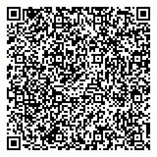 vCard 79585713399
