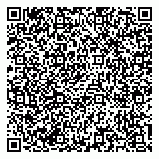 vCard 79585713401