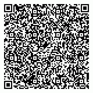 vCard 79585713409