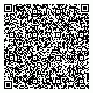 vCard 79585713410