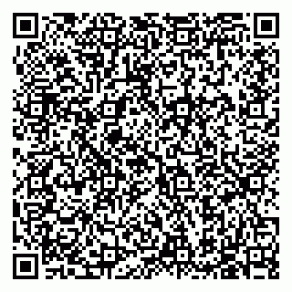 vCard 79585713411