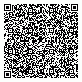 vCard 79585713413