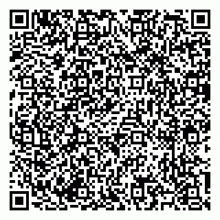 vCard 79585713433