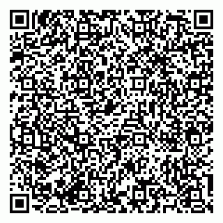 vCard 79585713480