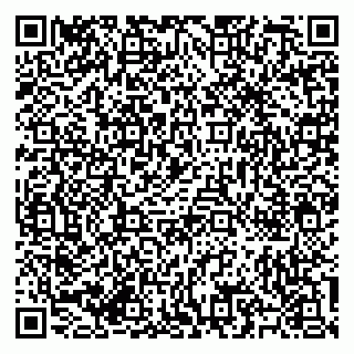 vCard 79585713484