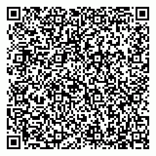 vCard 79585713497