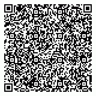 vCard 79585713499