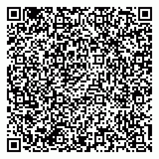 vCard 79585713501