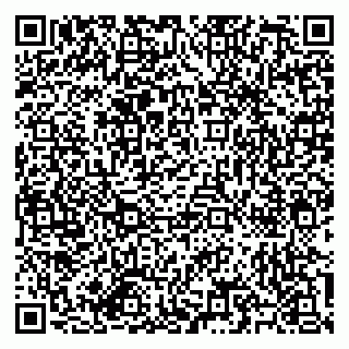 vCard 79585713503