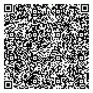 vCard 79585713504