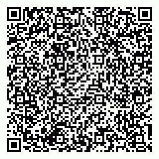 vCard 79585713508