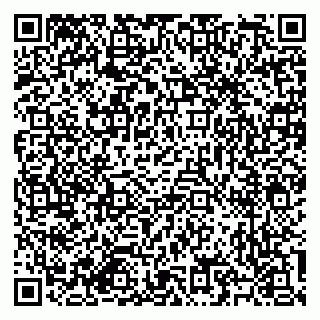 vCard 79585713524