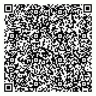 vCard 79585713528